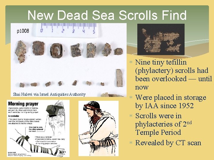 New Dead Sea Scrolls Find Shai Halevi via Israel Antiquities Authority Nine tiny tefillin New Dead Sea Scrolls Find Shai Halevi via Israel Antiquities Authority Nine tiny tefillin