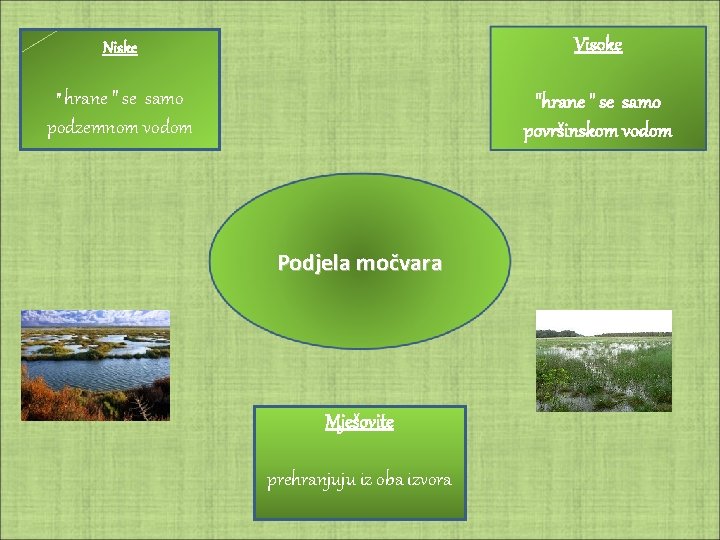 Visoke Niske " hrane " se samo podzemnom vodom "hrane " se samo površinskom