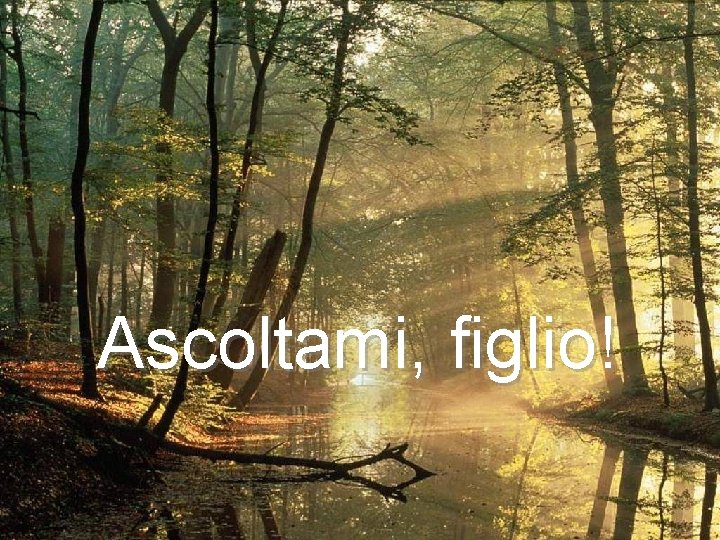 Ascoltami, figlio! 