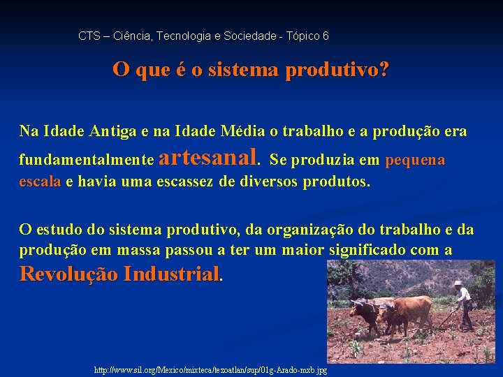 CTS – Ciência, Tecnologia e Sociedade - Tópico 6 O que é o sistema