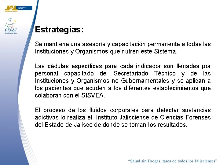 Estrategias: Se mantiene una asesoría y capacitación permanente a todas las Instituciones y Organismos