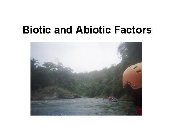 Biotic and Abiotic Factors 