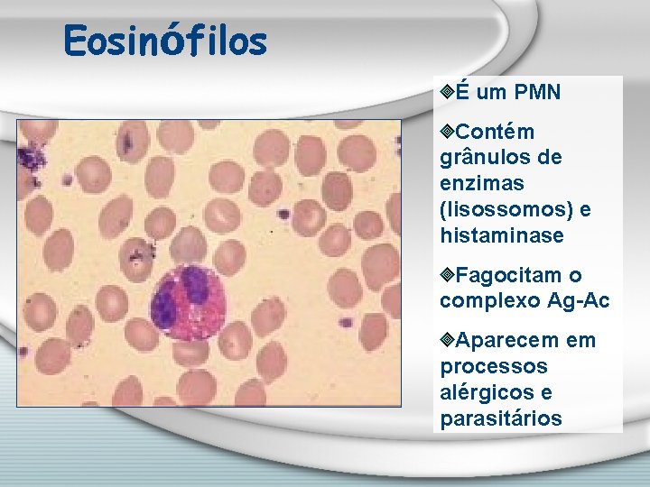 Eosinófilos É um PMN Contém grânulos de enzimas (lisossomos) e histaminase Fagocitam o complexo