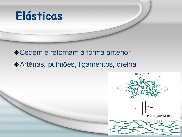 Elásticas Cedem e retornam à forma anterior Artérias, pulmões, ligamentos, orelha 