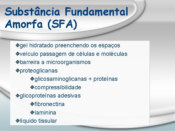 Substância Fundamental Amorfa (SFA) gel hidratado preenchendo os espaços veículo passagem de células e