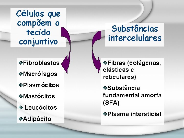 Células que compõem o tecido conjuntivo Fibroblastos Macrófagos Plasmócitos Mastócitos Leucócitos Adipócito Substâncias intercelulares