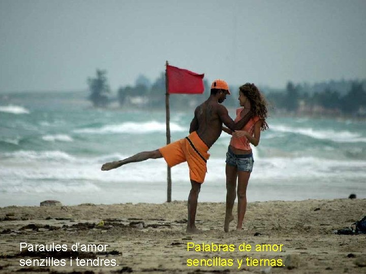 Paraules d'amor senzilles i tendres. Palabras de amor sencillas y tiernas. 