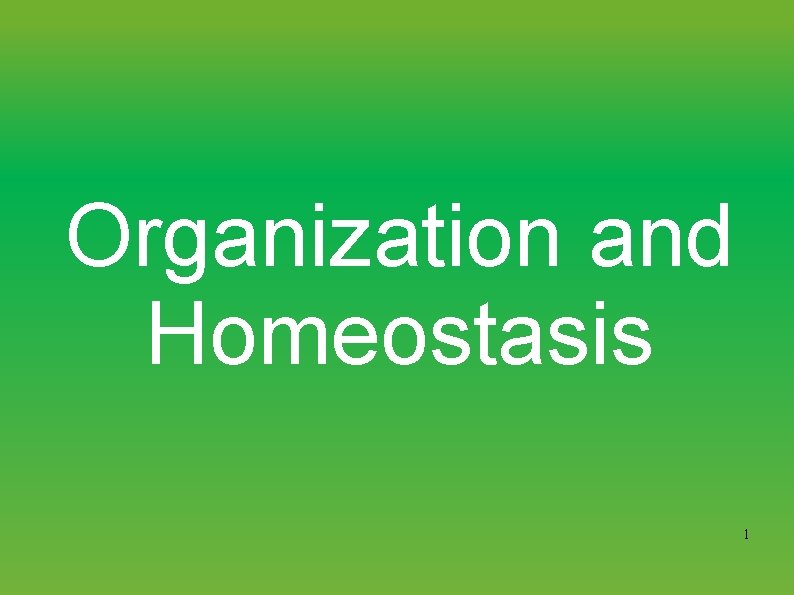 Organization and Homeostasis 1 
