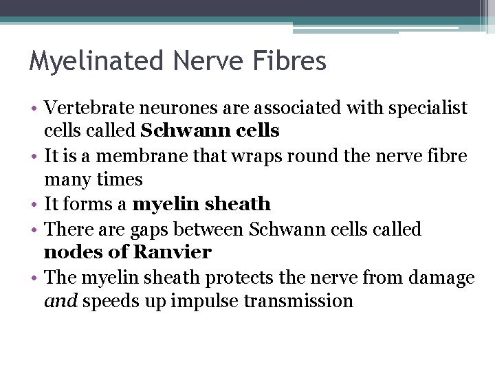 Myelinated Nerve Fibres • Vertebrate neurones are associated with specialist cells called Schwann cells