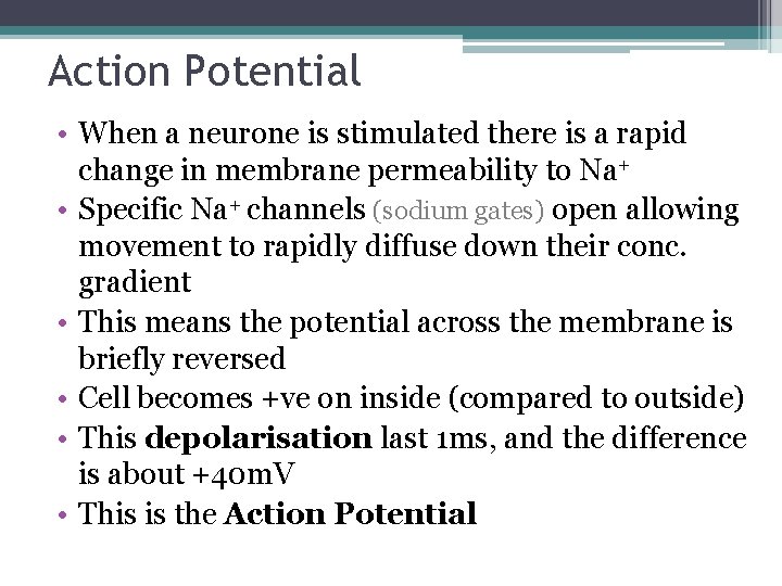Action Potential • When a neurone is stimulated there is a rapid change in