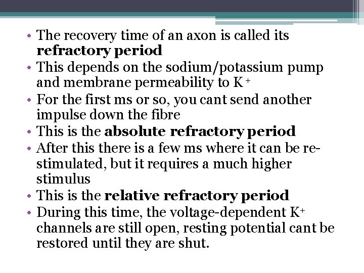  • The recovery time of an axon is called its refractory period •