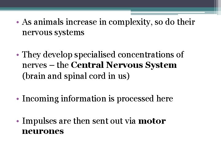  • As animals increase in complexity, so do their nervous systems • They