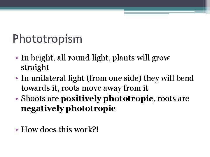 Phototropism • In bright, all round light, plants will grow straight • In unilateral