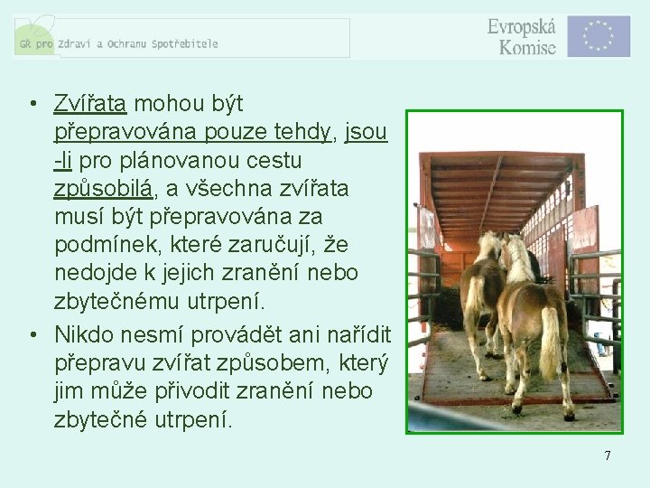  • Zvířata mohou být přepravována pouze tehdy, jsou -li pro plánovanou cestu způsobilá,