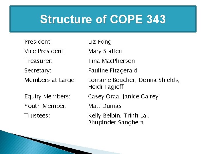Structure of COPE 343 President: Liz Fong Vice President: Mary Stalteri Treasurer: Tina Mac.