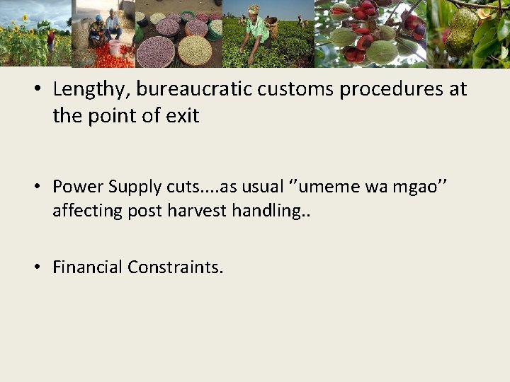  • Lengthy, bureaucratic customs procedures at the point of exit • Power Supply