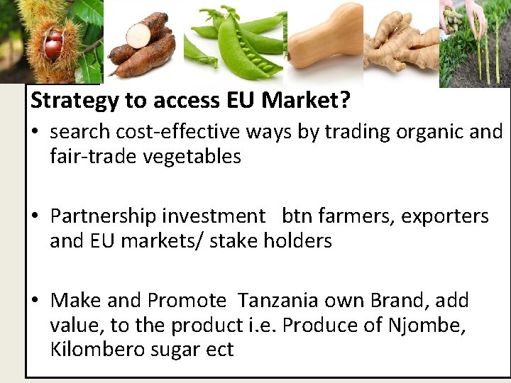 fv Strategy to access EU Market? • search cost-effective ways by trading organic and