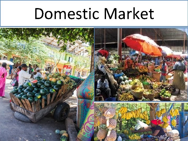 Domestic Market 