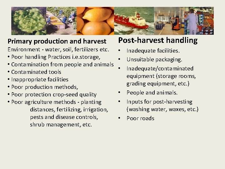 Primary production and harvest Environment - water, soil, fertilizers etc. • Poor handling Practices