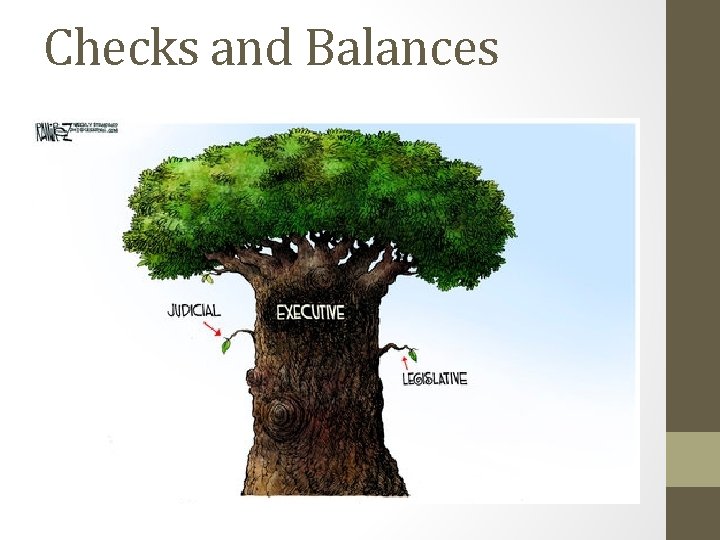 Checks and Balances 
