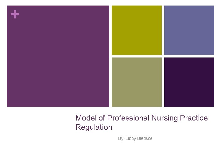 + Model of Professional Nursing Practice Regulation By: Libby Bledsoe 