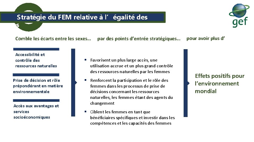  Stratégie du FEM relative à l’égalité des sexes Comble les écarts entre les