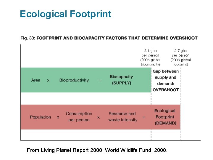 Ecological Footprint From Living Planet Report 2008, World Wildlife Fund, 2008. 