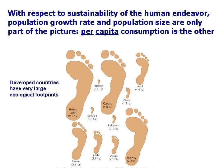 With respect to sustainability of the human endeavor, population growth rate and population size