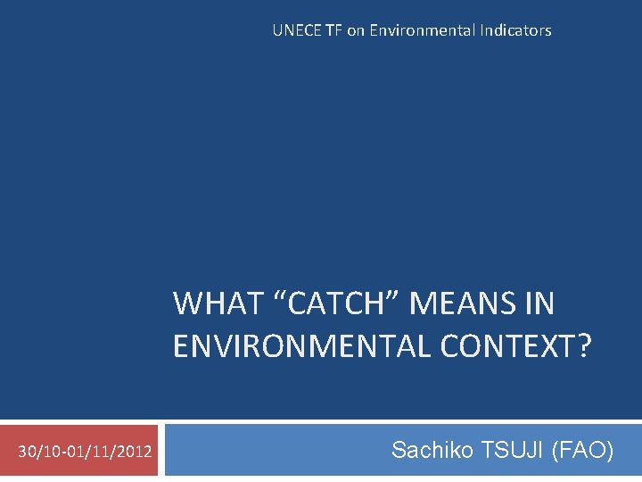 UNECE TF on Environmental Indicators WHAT “CATCH” MEANS IN ENVIRONMENTAL CONTEXT? 30/10 -01/11/2012 Sachiko