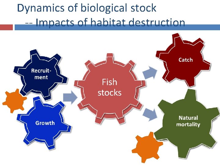 Dynamics of biological stock -- Impacts of habitat destruction 