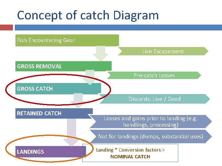 Concept of catch Diagram Fish Encountering Gear Live Escapement GROSS REMOVAL Pre-catch Losses GROSS