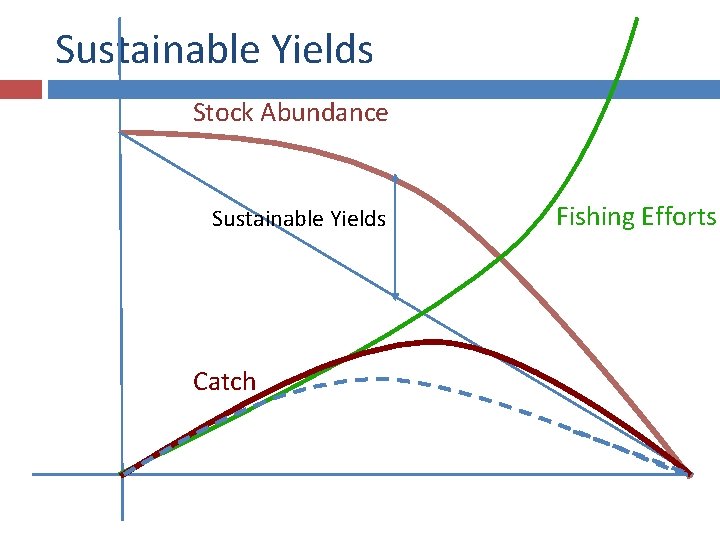 Sustainable Yields Stock Abundance Sustainable Yields Catch Fishing Efforts 