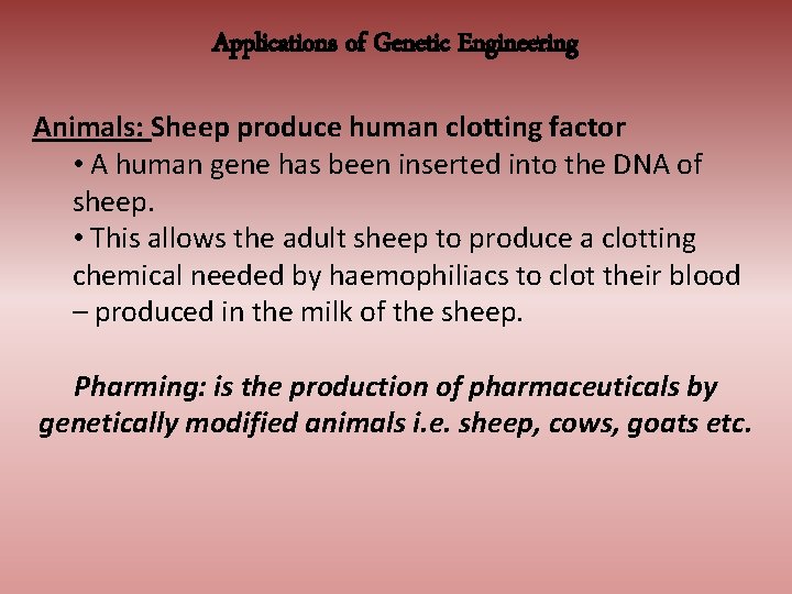 Applications of Genetic Engineering Animals: Sheep produce human clotting factor • A human gene