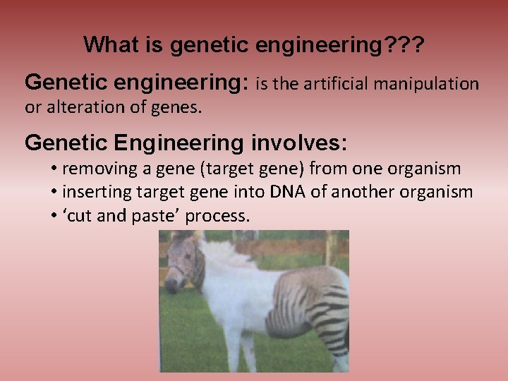 What is genetic engineering? ? ? Genetic engineering: is the artificial manipulation or alteration