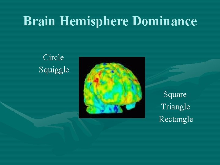 Brain Hemisphere Dominance Circle Squiggle Square Triangle Rectangle 