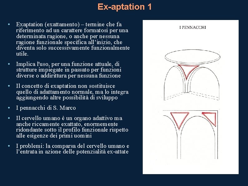Ex-aptation 1 • Exaptation (exattamento) – termine che fa riferimento ad un carattere formatosi