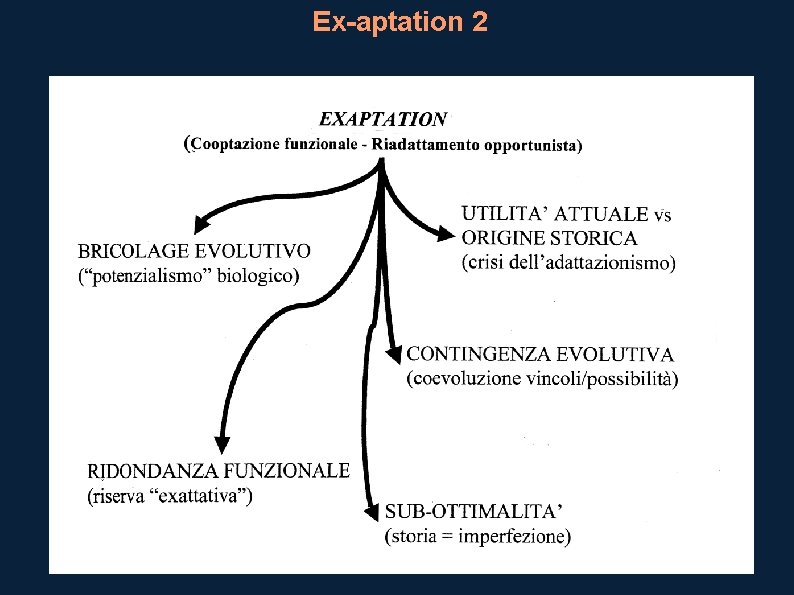 Ex-aptation 2 