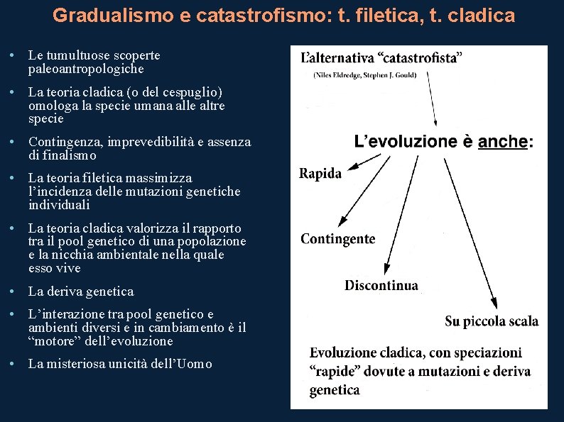Gradualismo e catastrofismo: t. filetica, t. cladica • Le tumultuose scoperte paleoantropologiche • La