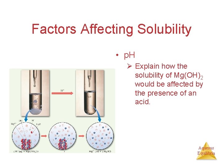 Factors Affecting Solubility • p. H Ø Explain how the solubility of Mg(OH)2 would