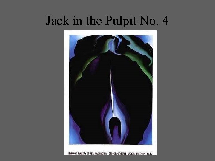 Jack in the Pulpit No. 4 