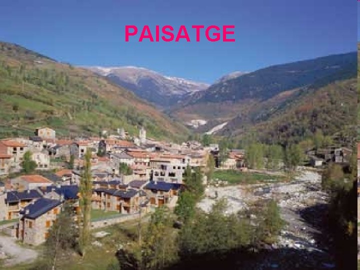 PAISATGE 