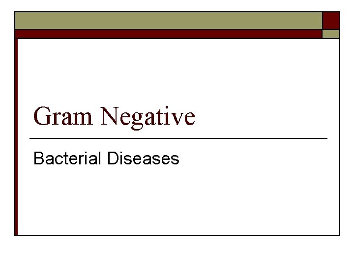 Gram Negative Bacterial Diseases 