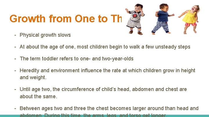 Growth from One to Three - Physical growth slows - At about the age