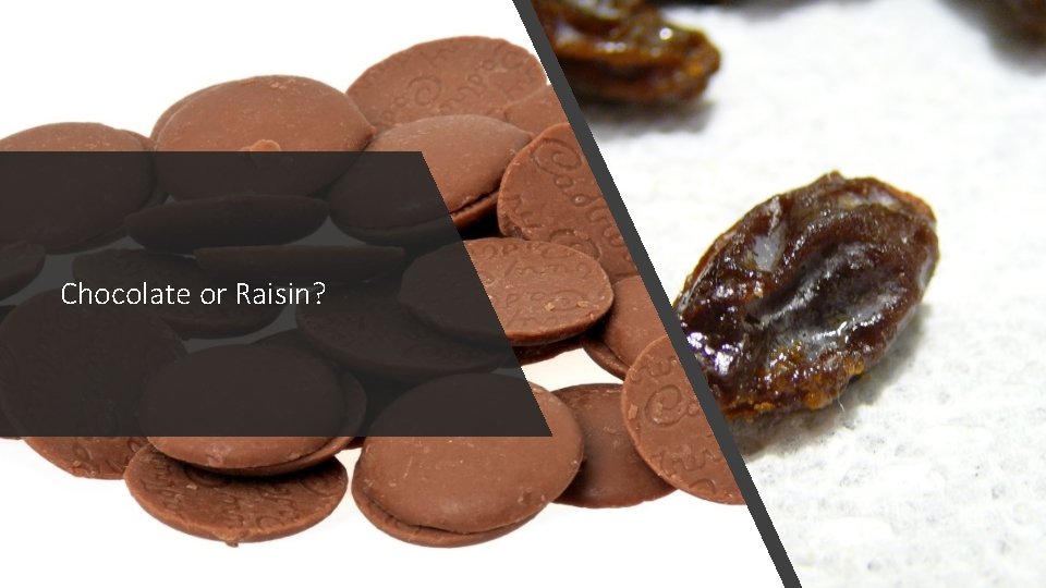 Chocolate or Raisin? Chocolate or Raisin?