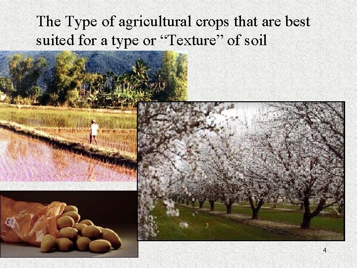 The Type of agricultural crops that are best suited for a type or “Texture”