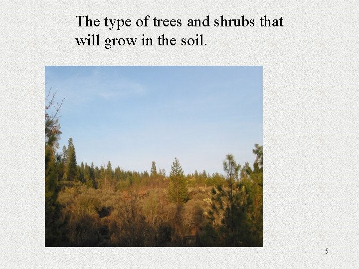 The type of trees and shrubs that will grow in the soil. 5 