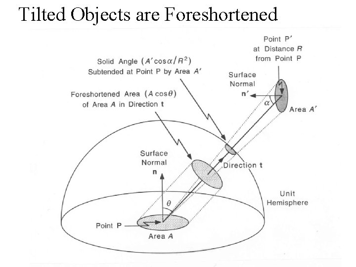 Tilted Objects are Foreshortened 24 