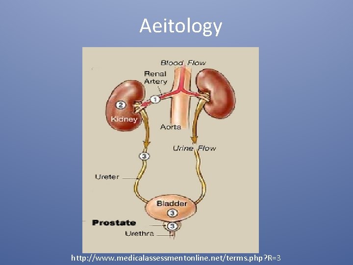 Aeitology http: //www. medicalassessmentonline. net/terms. php? R=3 