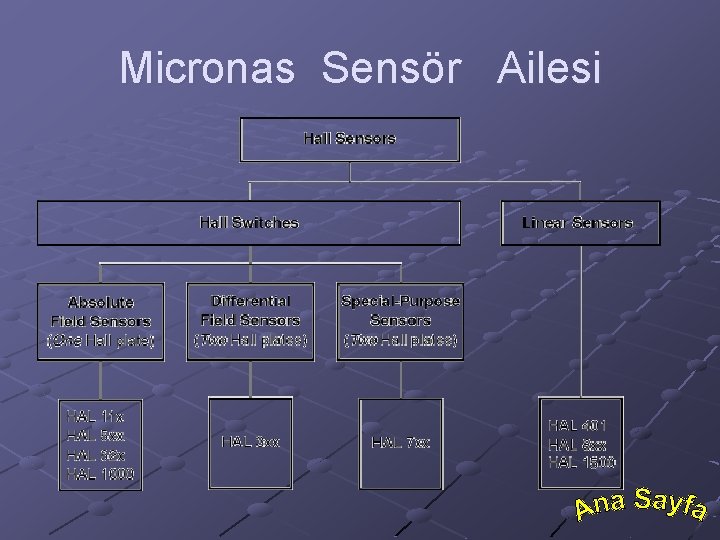 Micronas Sensör Ailesi 