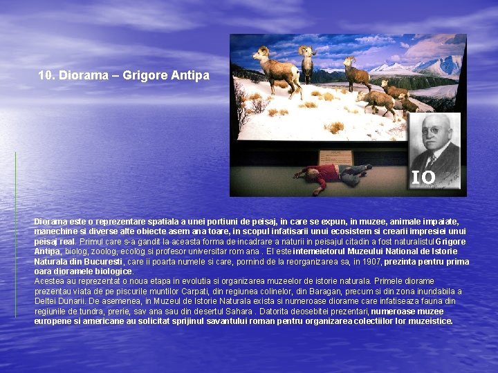 10. Diorama – Grigore Antipa Diorama este o reprezentare spatiala a unei portiuni de